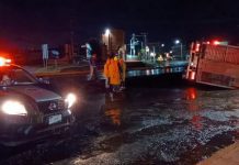 Vuelca tráiler con más de 86 becerros en Tequisquiapan