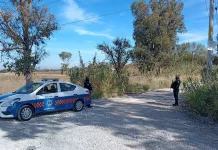 Localizan nueve cuerpos sin vida al interior de dos camionetas en SJR