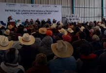 Entregan autoridades 578 toneladas de maíz a productores del campo