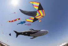 Alistan nueva edición de la Fiesta de los Papalotes en Tequisquiapan