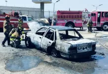 Vehículo queda calcinado y deja una persona lesionada