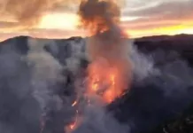 Fuerte incendio forestal daña miles de hectáreas en Pinal de Amoles