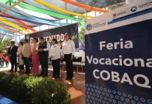 Realizan Feria Vocacional 2024 en el COBAQ 10 San Pedro Ahuacatlán