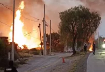 Fuerte incendio en bodega de tarimas movilizó a los cuerpos de emergencia
