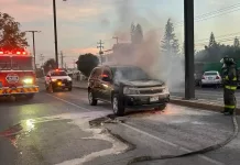 Incendio de vehículo moviliza a cuerpos de emergencia