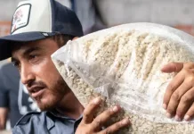 Entregaron 36 toneladas de maíz en beneficio de 36 comunidades de San Juan del Río