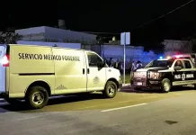 Muere al caer dentro de un domicilio