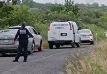 Muere al ser atropellado, abandonan el cuerpo
