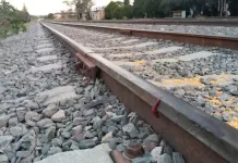 Tren arrolla a joven al realizar maniobras, trataba de extraer maíz de manera ilegal