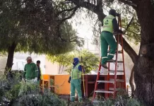 Supervisa Roberto Cabrera trabajo de Servicios Públicos en Haciendas San Juan y Valle Dorado