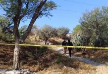 Encuentran cuerpo sin vida junto a las vías del tren en Casa Blanca