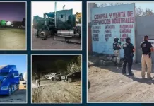 Catean predio en San Juan del Río; aseguran 27 vehículos