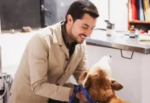 Gobierno de Tequisquiapan impulsa el bienestar animal con campaña de esterilización