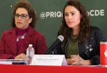 Morena desaparece programas de apoyo para personas con discapacidad: PRI
