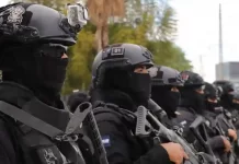 Saldo blanco en festividades decembrinas, fin de año y día de reyes: SSC