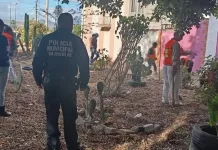 Personas infractoras realizan trabajos comunitarios en Lomas del Pedregal