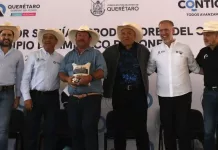 Apoya SEDEA a más de 5 mil familias del campo en Amealco con apoyos de maíz