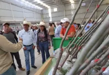 Entrega SEDEA apoyos con valor de 2.7 mdp en Peñamiller