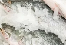 Efectúa Secretaría de Salud operativo Cuaresma