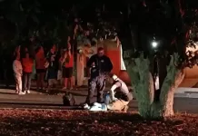 Mujer cae de un árbol, servicios de emergencia en la zona