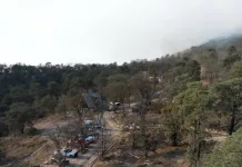 Controlado en un 95 % el incendio forestal en los límites entre Amealco y Huimilpan