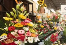 Proyectan derrama económica de 46 mdp por celebración del Día de las Madres