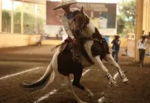 Querétaro: segundo lugar nacional en Charrería