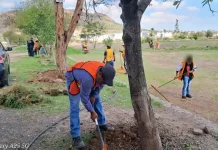 Realizan jornada de trabajos a favor de la Comunidad en el Barrio de La Cruz