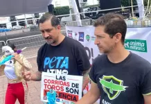 Violan leyes corridas de toros, piden cancelar evento en San Juan del Río.