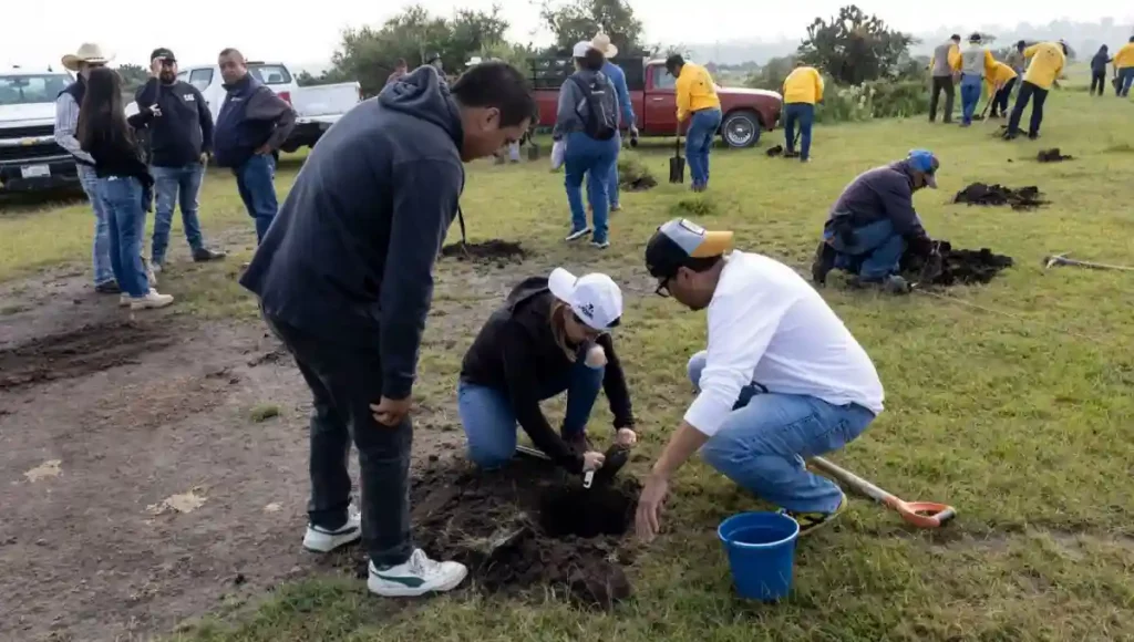 “Raíces del Agua” contempla tres ejes estratégicos, tales como, la construcción de bordos de regulación; la instalación de pozos de absorción, y un proceso de reforestación.