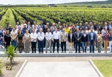 Expande Querétaro su emergente industria vitivinícola a través de su clúster