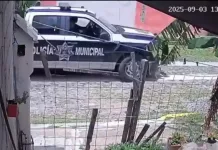 Unidad policiaca atropella a un perrito en vía pública