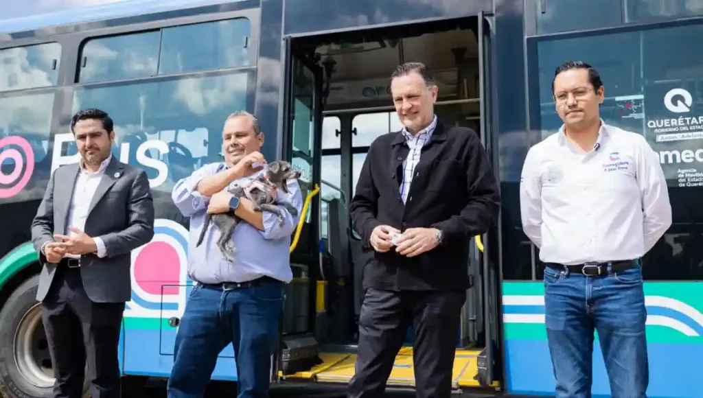 La iniciativa permite el acceso a mascotas en las 120 rutas actuales del transporte público, con previo registro ante la AMEQ y bajo ciertas condiciones. 