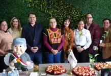 Dirigencias estatales de la 4T sostienen reunión de trabajo en Querétaro