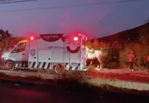 Motociclista impacta caballo, queda lesionado