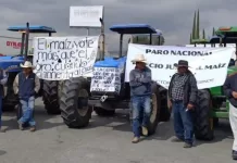 Productores en Querétaro logran acuerdo, recibirán un apoyo de 950 pesos por tonelada de maíz