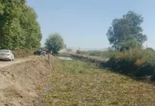 Cae a canal de aguas y pierde la vida