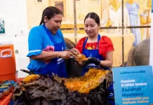 Es Querétaro referente de la región huasteca