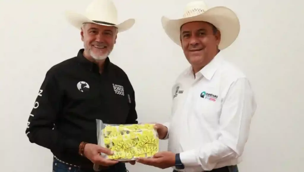 Estos incentivos permiten mejorar las condiciones de manejo del ganado bovino, permitiendo un mejor control zoosanitario.