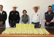 SEDEA fortalece al sector pecuario con la entrega de 20 mil aretes identificadores a productores del estado
