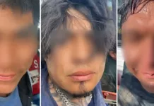 Desarticulan célula dedicada al robo de transporte de carga