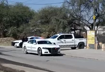 Aseguran predio con vehículos y mercancía supuestamente robada