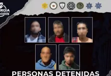 Sinergia por Querétaro despliega cateos simultáneos y logra 5 detenciones