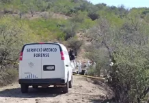 Hallan fosa clandestina con restos óseos en La Llave