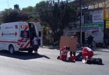 Atropellado en Paseo Central es trasladado a nosocomio en estado grave