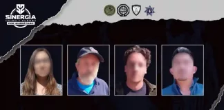 Sinergia realiza cateo por despojo en viñedo; cuatro personas detenidas