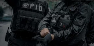 PID ejecuta la detenciones de 186 personas y recupera 48 vehículos durante enero