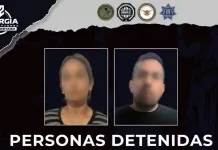 Cateo de Sinergia en El Marqués permite asegurar más de 300 dosis de droga