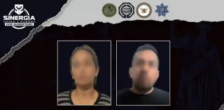 Cateo de Sinergia en El Marqués permite asegurar más de 300 dosis de droga