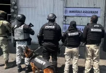 Realizan cateos en la Central de Abastos de Querétaro, hay cinco detenidos